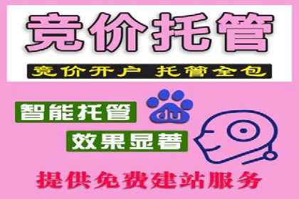 百度推广成功案例：打造行业领军品牌之路